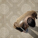 SHANGAI BEIGE 45 X 45 FORMIGRES