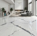 PORCELANATO ESTATUARIO 60 X 60 CM PORCELUX