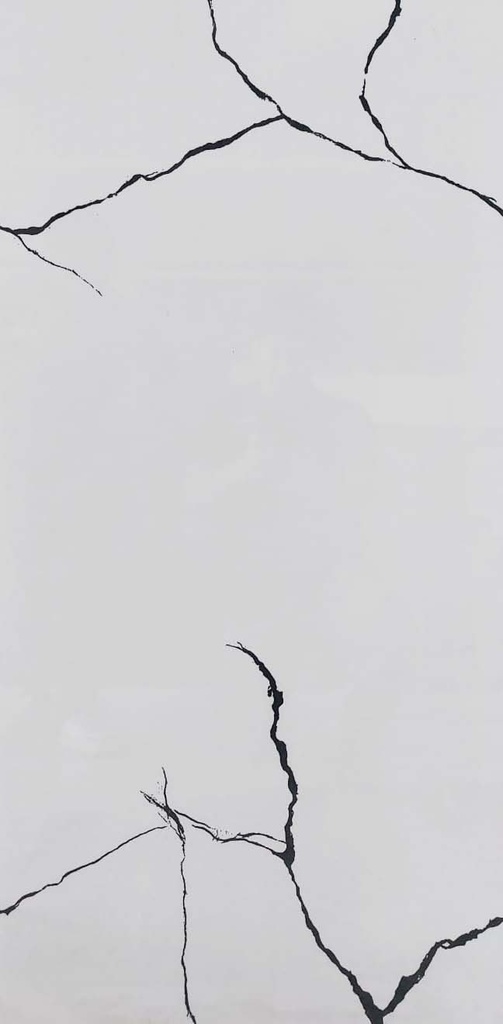 [CER-435] PORCELANATO BETTAL BLACK 60 X 120 CM PORCELUX