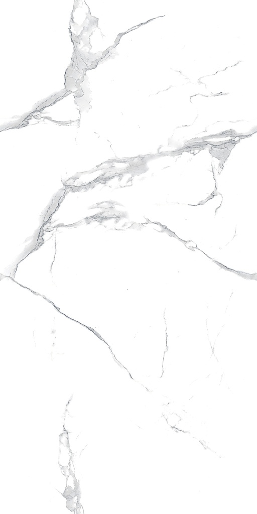 [CER-529] SEMI PORCELANATO END CARTAGO STATUARIO 60 X 120 CM ( mate ) PORCELUX